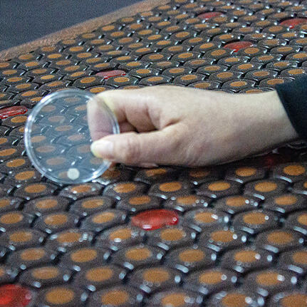 Magnetic indicator used to check PEMF operation on a Luxuryade mat